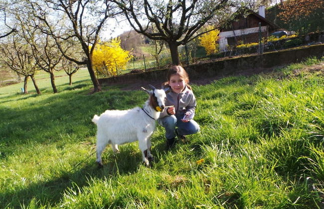 Fantastic Apartment in Oberkirch - Foto 17