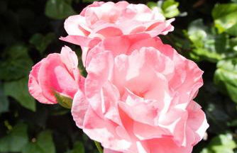 Villa Lofos - Photo 44