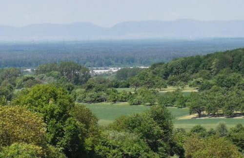 Im Herzen des Kraichgaus 2 - Foto 32