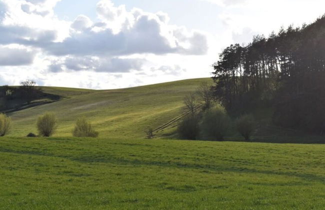 Holiday Apartment in Flieth-stegelitz - Foto 12