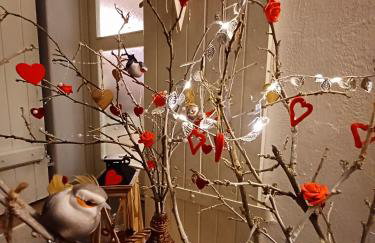 Holiday House Gajski Vrh - Foto 60