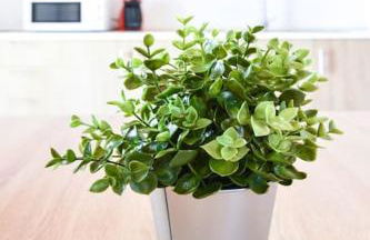 Tindaya Sol Smartworking by Babiniliving - Foto 60