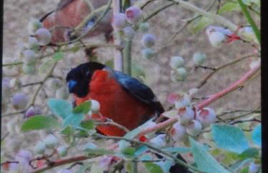 En bord de rivière - Foto 65