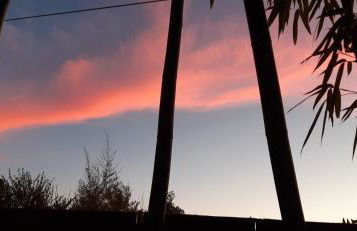 Maison et terrasse dans le jardin du Château de Gaillard - Foto 36