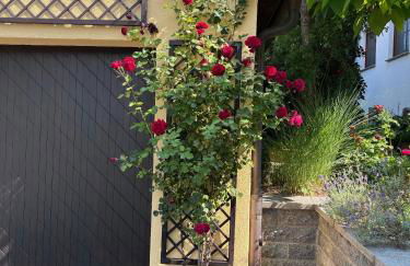 Ferienoase in der Bierstadt Radeberg bei Dresden - Foto 17