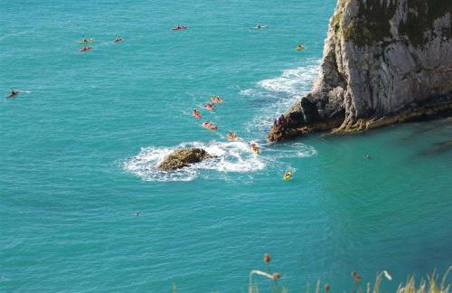 Little Ivy - Foto 18