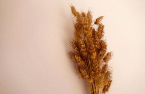 Sparrow Sintra Nest - Foto 31