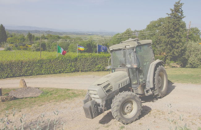 Agriturismo Poggio Pistolese - Photo 30