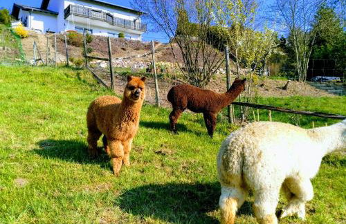 Ferienwohnung Alpaka Blick - Foto 35