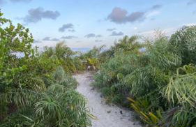 Lindo apto em frente ao Mar - Ilhéus - Itacaré Ba - Foto 30