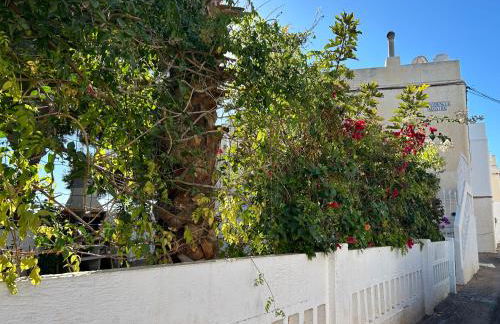 Faro de Mar - Foto 10