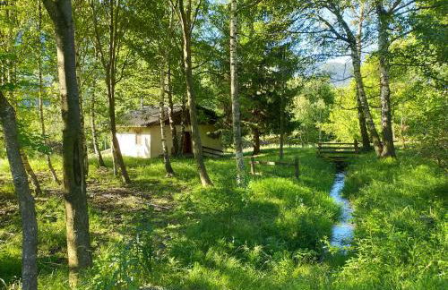 La Casa Nel Bosco - Natura & Relax - Foto 28
