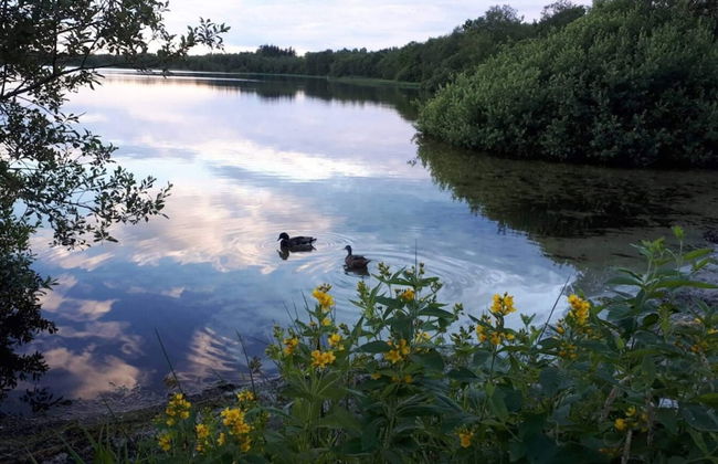 4 Star Holiday Home in Ansager - Photo 34