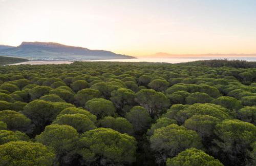 Love Garden - Foto 93