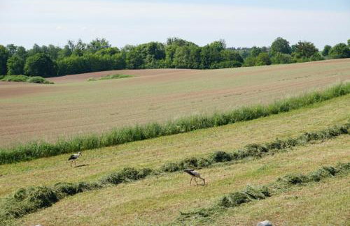 Domek w polu - Foto 34