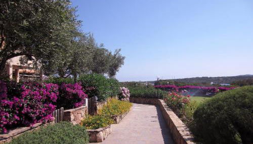 Dany's Home in Baia de Bahas - Foto 4, Garden