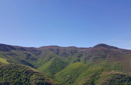 Casa de Forno - Foto 11