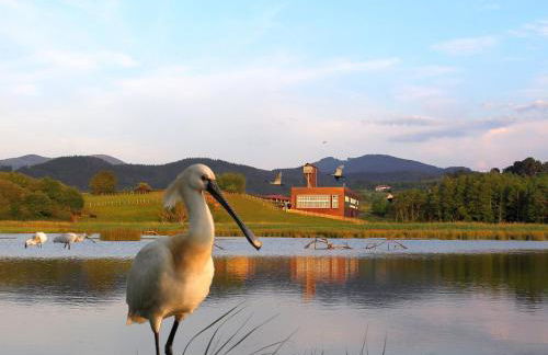 Adosado en la costa con excelentes vistas al estuario de Urdaibai - Foto 32