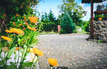 Chata na końcu świata - Foto 22