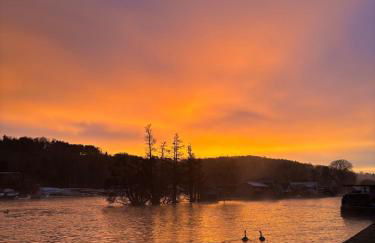 Cosy Island Cottage with Boat in Henley-on-Thames - Foto 31