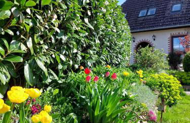 FeWo Dreiseitenblick - Foto 26