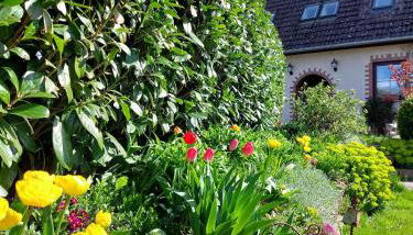 Klosterblick - Foto 1, Garden, Garden view