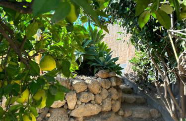 Afrikan Krisant Tenerife, Casa Rural Ecologica - Foto 21