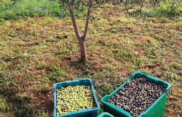 Holiday Home Antonija - Foto 44