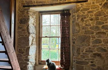 Tin Miners Captain Georgian hs, parking, Logburner - Foto 10