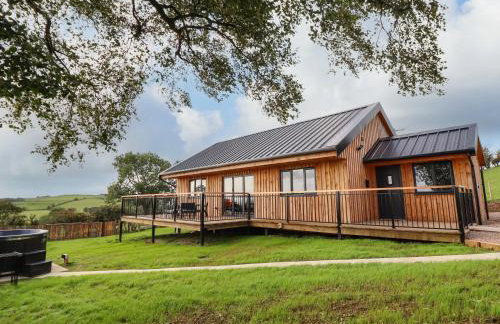 Mynydd Y Glyn Lodge - Foto 1