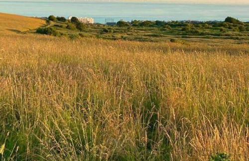 House - Free Parking & Sea Views - Foto 15