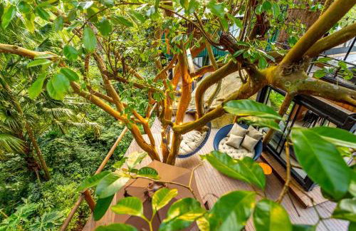 Casa Natu Ilhabela Portinho - Foto 35