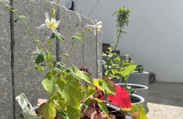 AllgäuZeit Isny - Foto 32