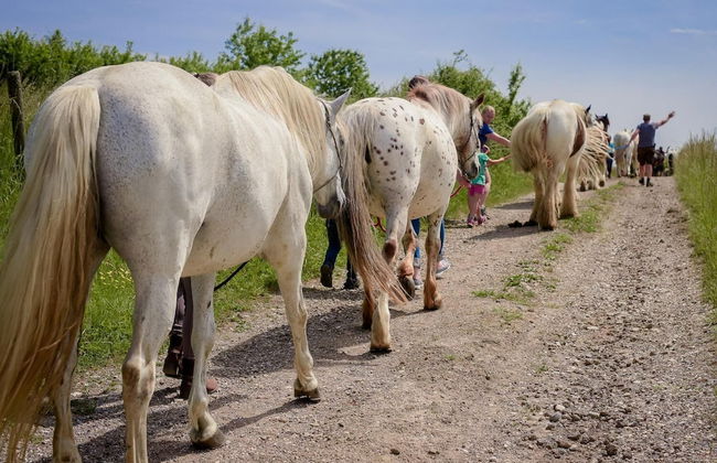 Nengshof - Haus Wildrose - Photo 23