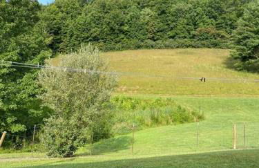 Home in the Heart of W.V. Adventure Country! - Photo 62