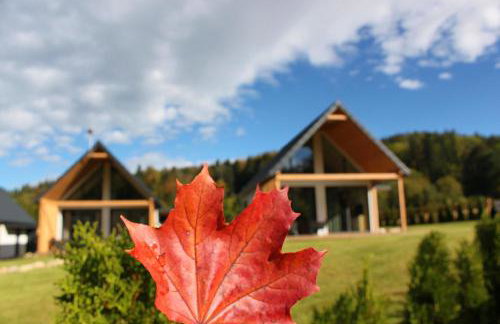 Galena i Gnejs - Foto 24