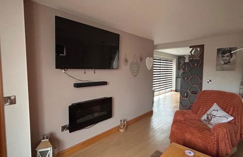 Forest view - Foto 15