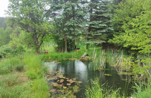 Haus "Grimberg" FeWo 1-Stock - Photo 38