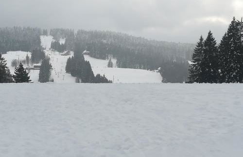Ferienwohnung Hasenfratz - Foto 30