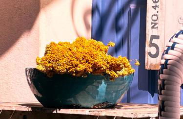 Les galets bleus de Calvi - Foto 51