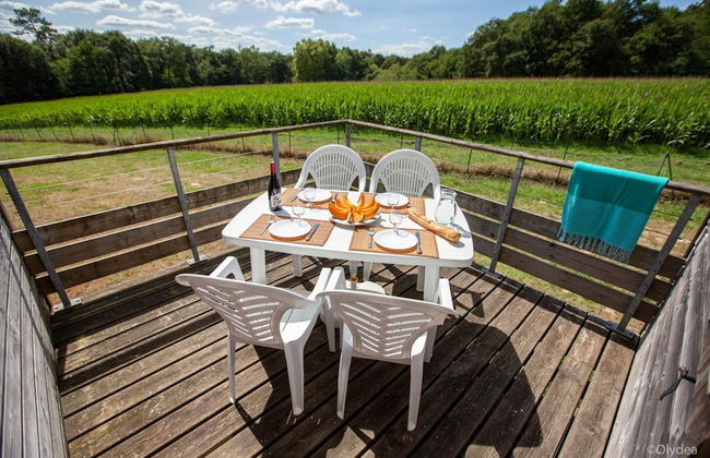 Olydea Cassen - Foto 21