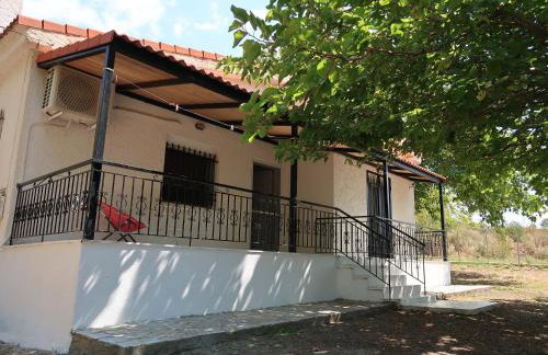 The Beach House - Foto 20