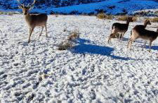 Schicke Ferien Wohnung mit tollem Ausblick in Schwarzwald. - Foto 29