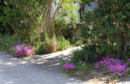 Apartments by the sea Brgulje, Molat - 6250 - Foto 7