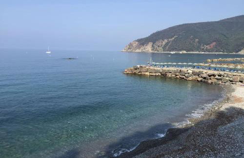 TAVERNETTA 109 TERRAZZA TRA LE 5 TERRE E PORTOFINO - Foto 22