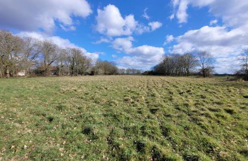 Colemans Farm Barn- Unique, Rustic & Peaceful Barn - Essex countryside - Foto 10