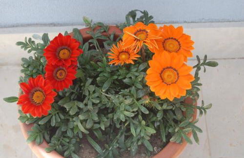 Terre Iblee Resort - Foto 77