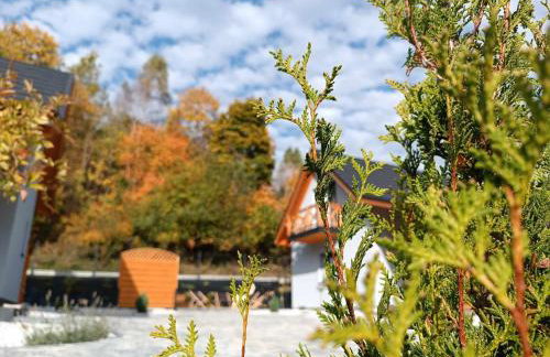 Chaty Baribala- Domki w Górach z Balią z Jacuzzi Sól - Foto 8