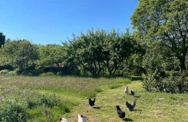 Sonnenhügel - Foto 6