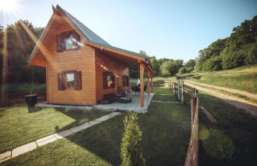 Szalejówka Domki - Foto 56